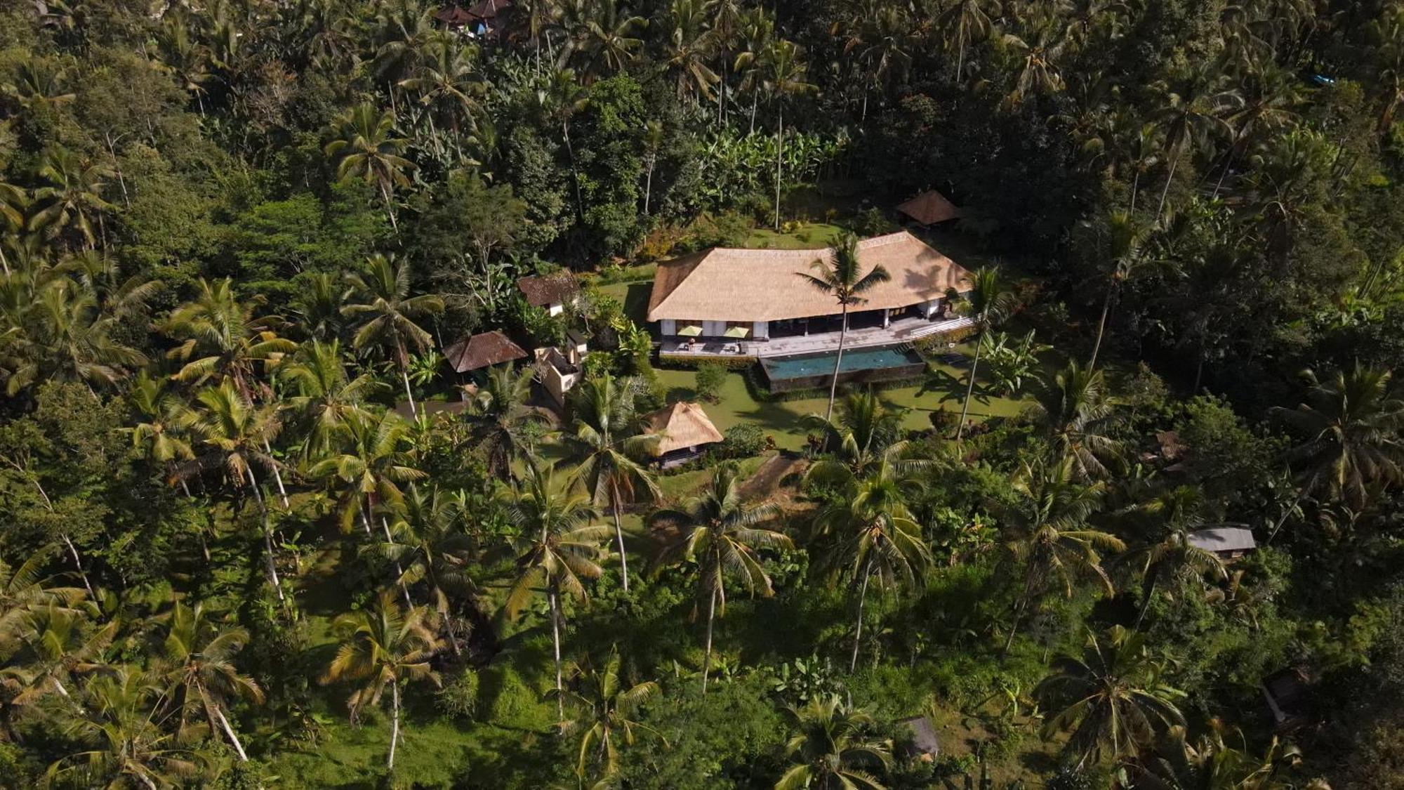 Villa Themma Jungle - Sumptuous 3Br Luxury Villa With Majestic Jungle View North Of Ubud エクステリア 写真