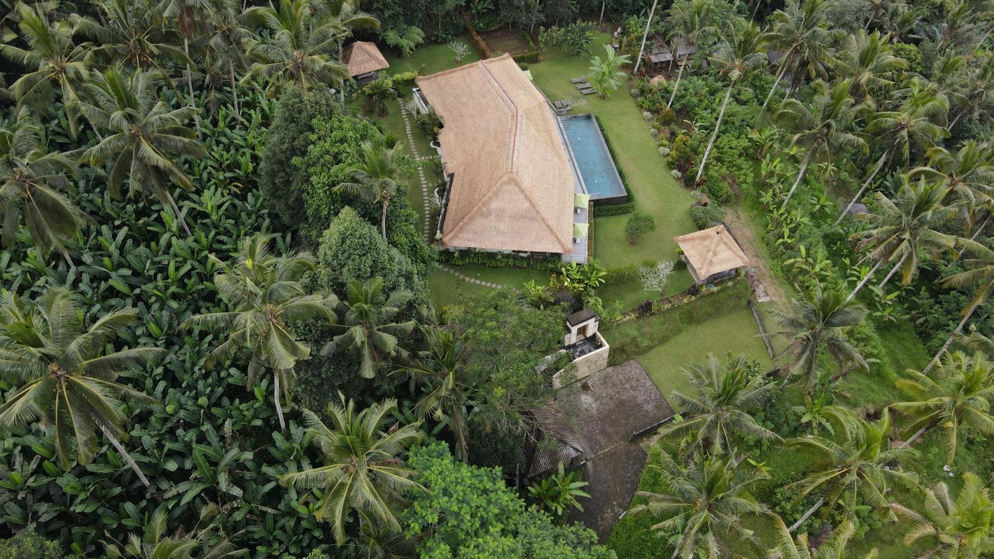Villa Themma Jungle - Sumptuous 3Br Luxury Villa With Majestic Jungle View North Of Ubud エクステリア 写真