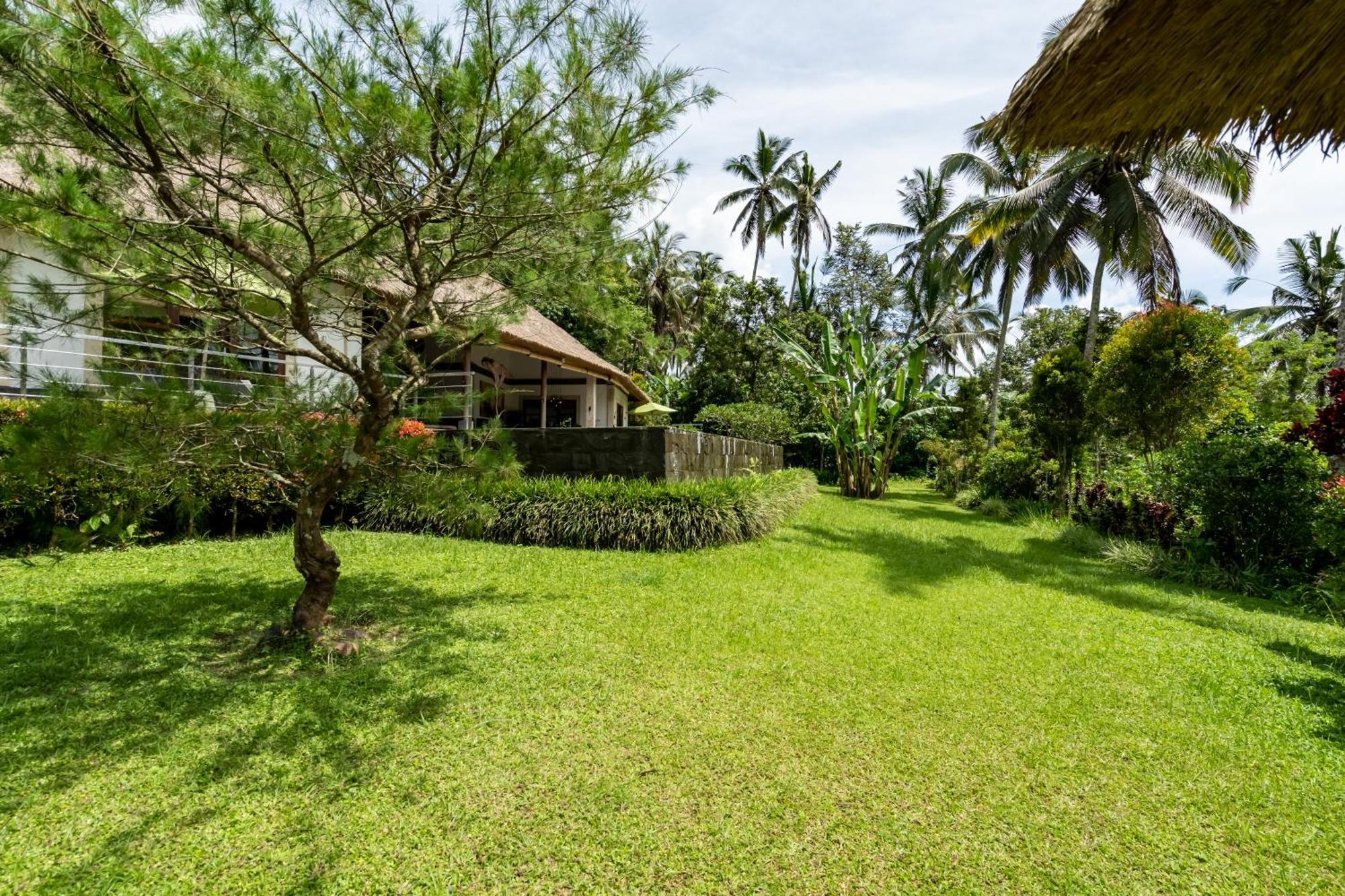 Villa Themma Jungle - Sumptuous 3Br Luxury Villa With Majestic Jungle View North Of Ubud エクステリア 写真