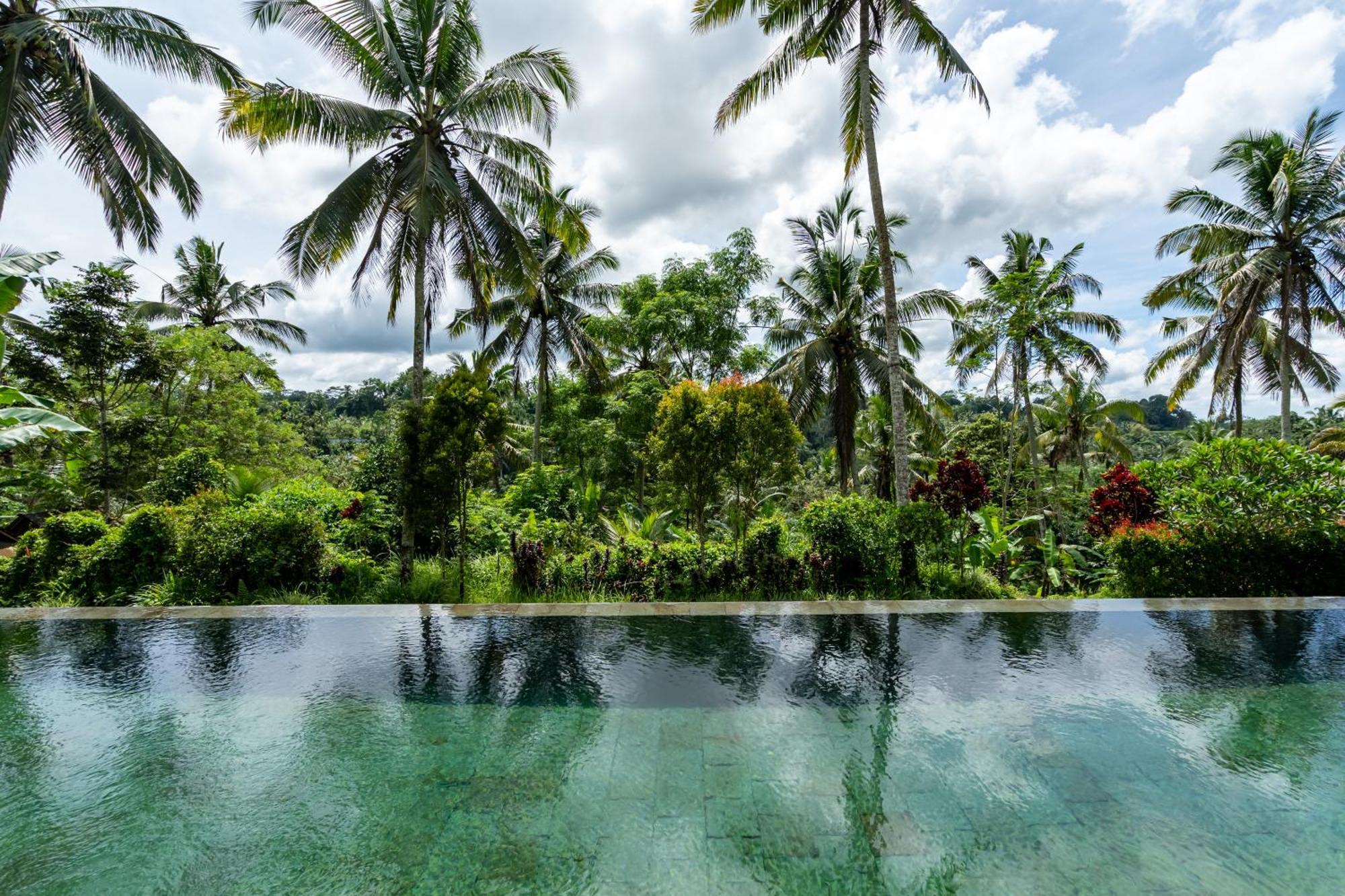 Villa Themma Jungle - Sumptuous 3Br Luxury Villa With Majestic Jungle View North Of Ubud エクステリア 写真